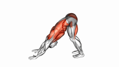 Downward Dog
